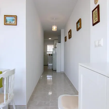 Tanit @ducado * בנידורם